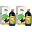 Gemmo 10+ ribes nero 200 ml liquido analcolico 2x200 ml soluzione oral