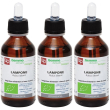Gemmo derivato biologico lampone 3x100 ml soluzione orale