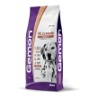 Gemon ab ad salmone e riso15kg