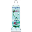 Gengiflog gel dentario 20ml