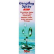 Gengiflog spray orale 50ml
