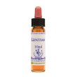 Gentian essenza 10ml