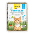 Gimcat erba per gatti soft-gras 100gr 02.407128