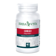Ginkgo 60 capsule