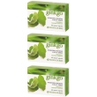 Ginkgo biloba 60 capsule 3x60 pz