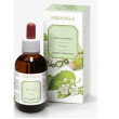 Ginkgo biloba foglie estr ial