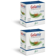 Golamir compresse orosolubili 2x30 g