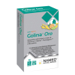 Golina orodispersibili agrumi 20 compresse orosol