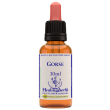 Gorse essenza 30ml