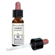 Gorse original 10ml gocce