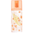 Green tea nb edt 100ml