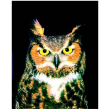 Gufo owl ess 30ml