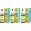 Guna fiori di bach resource remedy 3x10 ml gocce