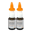 Guna heel euphorbium compositum® spray nasale s set da 2 2x20 ml