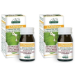 Gymnema estratto titolato 60 pastiglie 2x60 pz