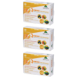Henerga pappa reale stick 3x100 ml soluzione orale