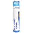 Hepar sulfuris calc 15ch 80gr