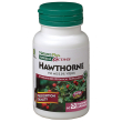 Herbal-a biancospino
