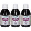 Herbalgem herbal fum sciroppo polmoni 3x250 ml
