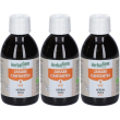 Herbalgem herbal voce sciroppo 250 ml