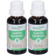 Herbalgem lampone giovani getti concentrato di gemme fresche gocce 2x3