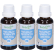 Herbalgem prestagem comfort maschile concentrato di gemme fresche gocc
