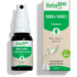 Herbalgem ribes nero gemme concentrato di fresche gocce 15 ml sp