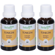 Herbalgem tonigem energia concentrato di gemme fresche gocce 3x30 ml s