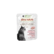 Hfc highly appetizing filetto di pollo - alimento umido per gatti speciali 50 gr
