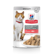 Hill's science plan young adult sterilised cibo umido con salmone gatti adulti sterilizzati bustina 85g