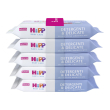 Hipp salviettine umidificate detergenti e delicate 5 pacchi x 48 pz