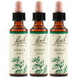 Holly bach orig 20ml 3x20 ml gocce orali