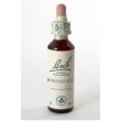 Honeysuc bach orig 10ml