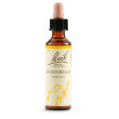 Hornbeam bach orig 20ml