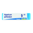 Hypericum perfor 9ch gl