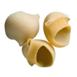 I lumaconi giganti 500g