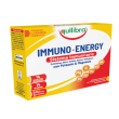 Immuno energy pot&magn 14 bustine