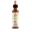 Impatient bach orig 20ml