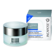 Incarose concentrato puri crema ac ialur