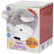 Innoliving the puppies husky peluche riscaldabile profumato 1 pz altro