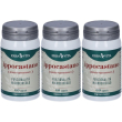 Ippocastano capsule 3x60 pz