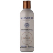 Ischia shampoo a/caduta 250ml