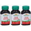 Jamieson cardo mar milk thist jam 3x60 pz compresse