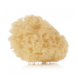Jane spugna naturale 2 pezzi