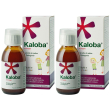 Kaloba® sciroppo set da 2 2x100 ml sciroppo