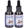 Kaminox sciroppo 2x60 ml