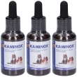 Kaminox sciroppo 3x60 ml
