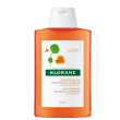 Klorane shampoo cappuccina 200ml