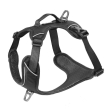 Kyflie collare momentum (xl) nero
