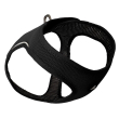 Kyflie pettorina momentum airvest (xxs) nero
